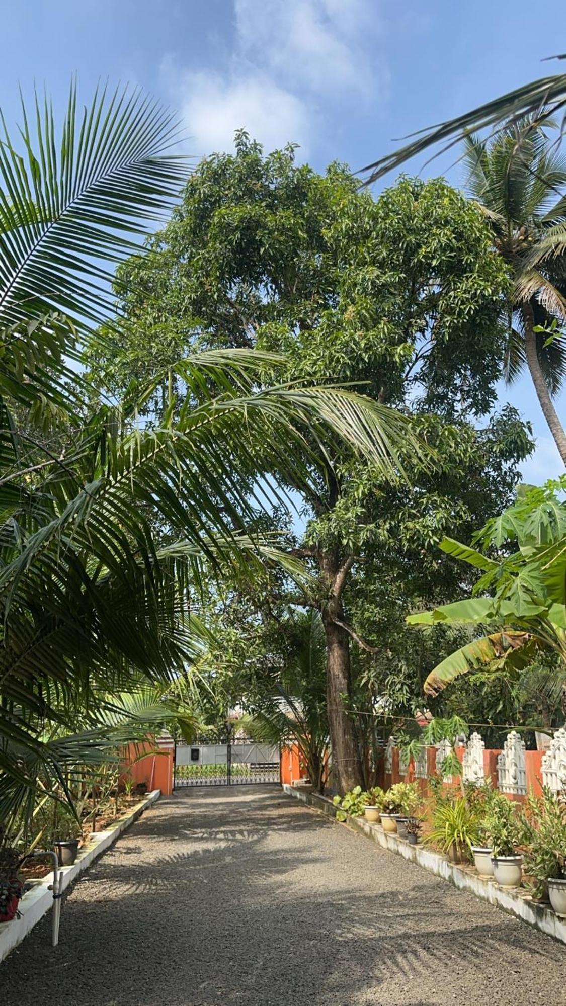 Ferienwohnung Prabhalayam Kottayam Exterior foto