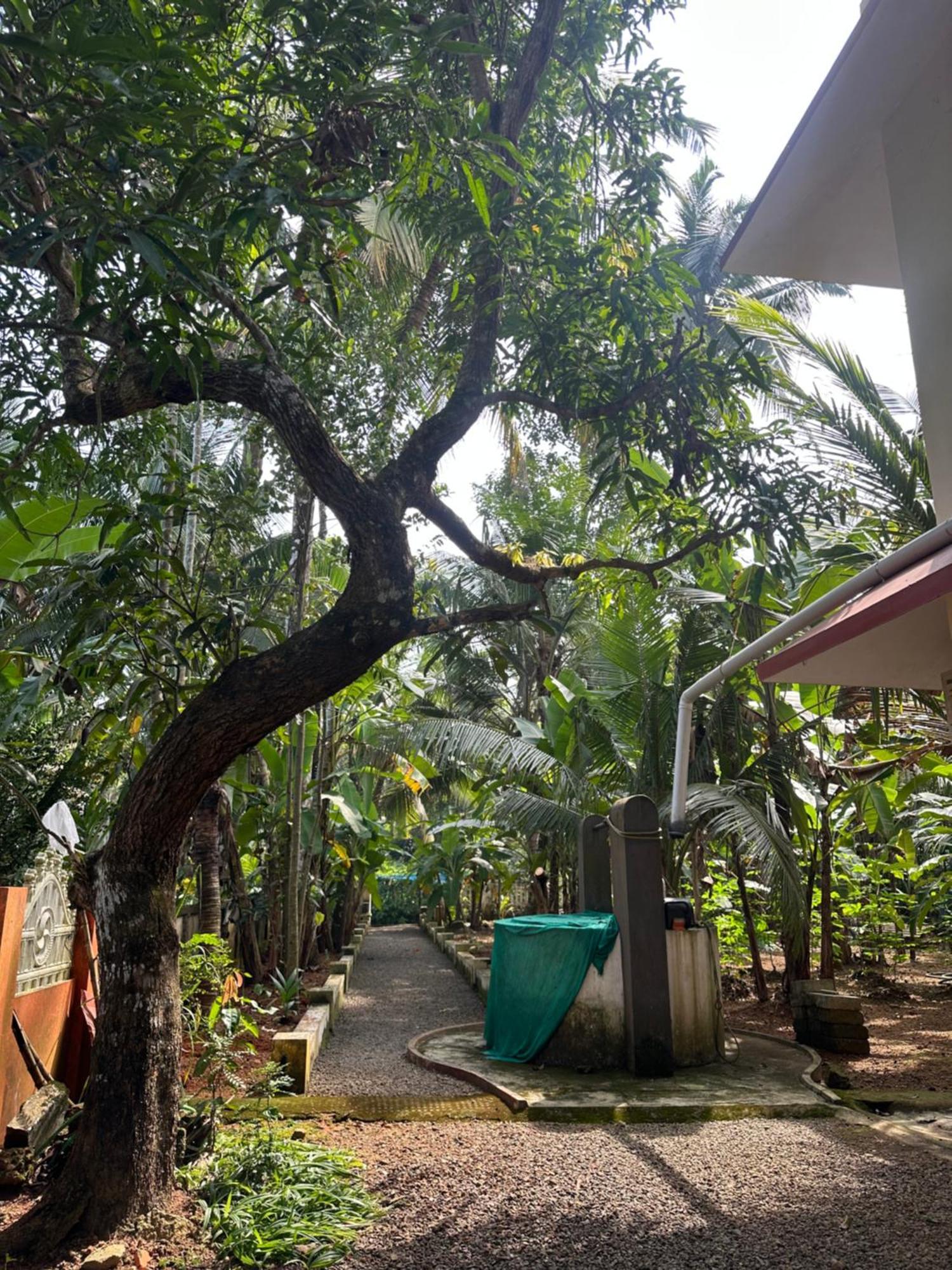 Ferienwohnung Prabhalayam Kottayam Exterior foto